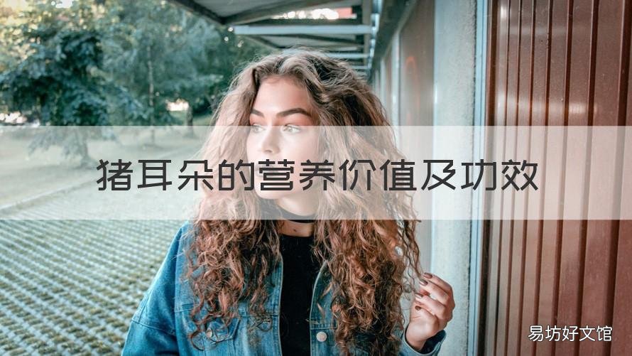 猪耳朵的营养价值及功效 猪耳朵的营养与功效