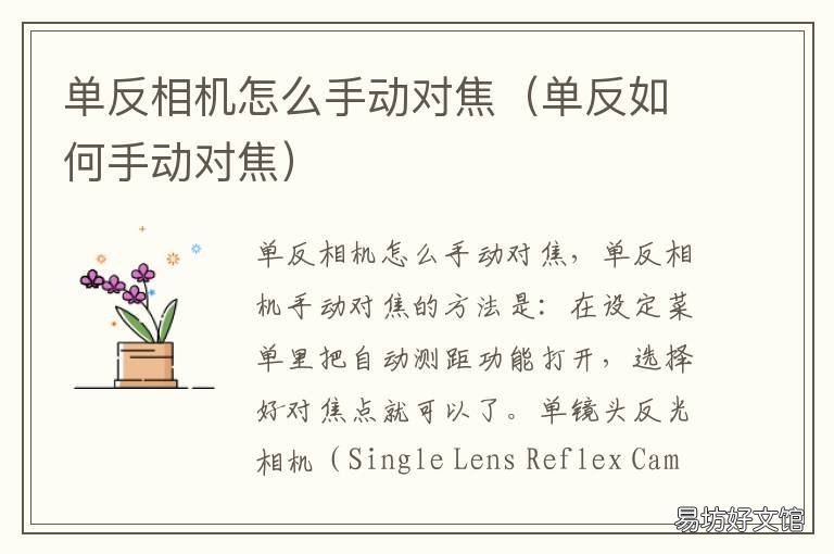 单反相机怎么手动对焦 单反相机手动对焦怎么调