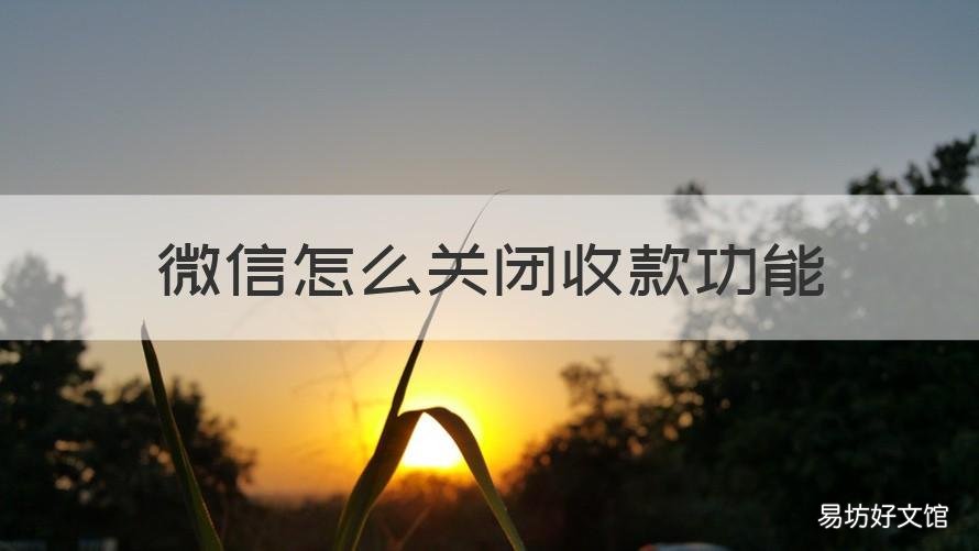 微信怎么关闭收款功能 微信关闭收款功能是不是就不能收款