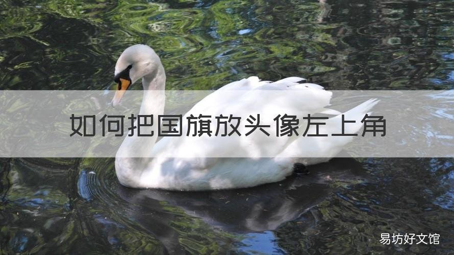 如何把国旗放头像左上角 怎样在头像上加国旗 右下角