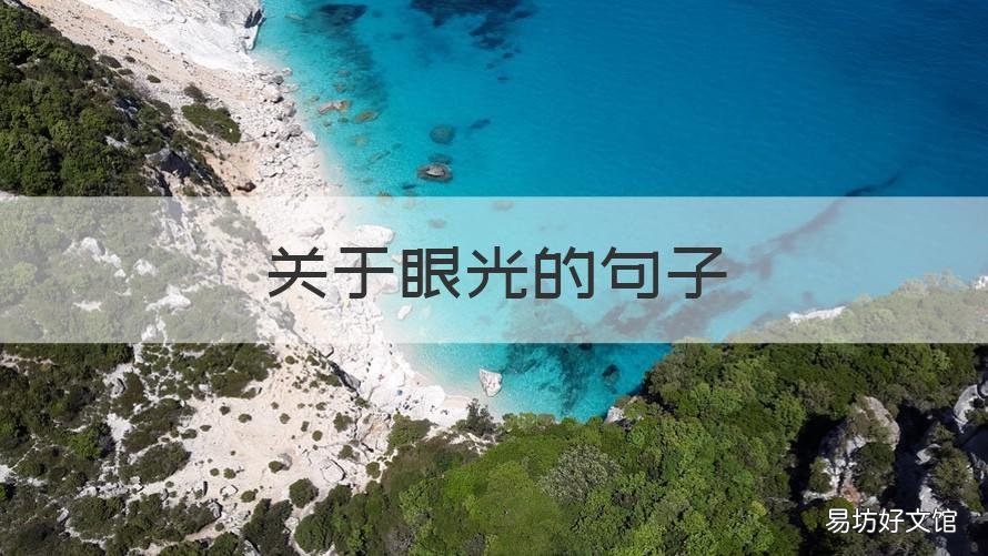 关于眼光的句子 有眼光的句子