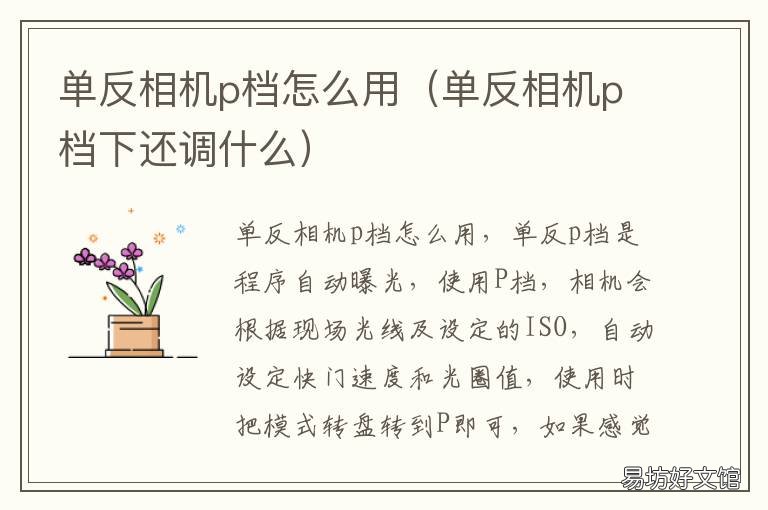 单反相机p档怎么用 单反相机 p档
