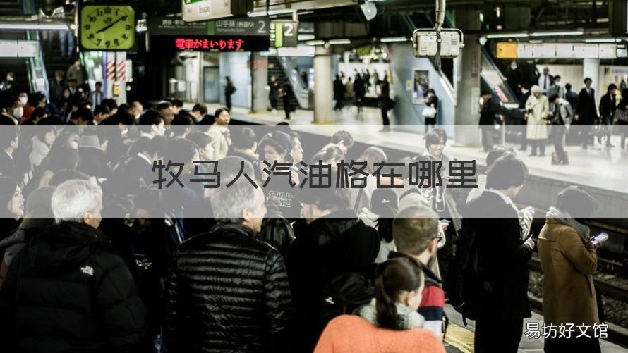 牧马人汽油格在哪里 牧马人的进气口在哪