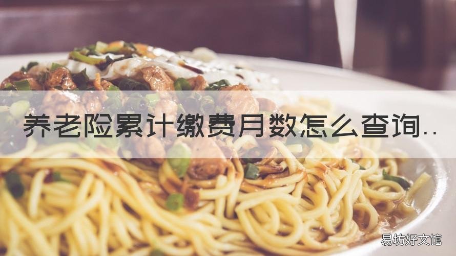 养老险累计缴费月数怎么查询 养老险累计缴费月数在哪里查