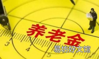 退休金和养老金的区别 上海退休金和养老金的区别