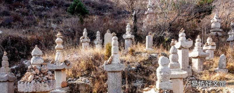 塔林是墓地吗 塔林是墓地吗还是墓地