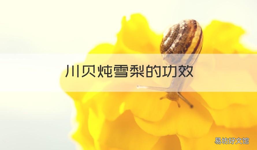 川贝炖雪梨的功效 生姜川贝炖雪梨的功效