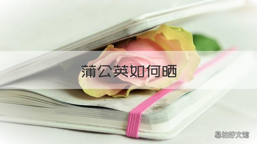 蒲公英如何晒 蒲公英如何晒制