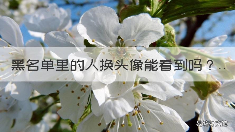 黑名单里的人换头像能看到吗 黑名单里的人换头像能看到吗微信