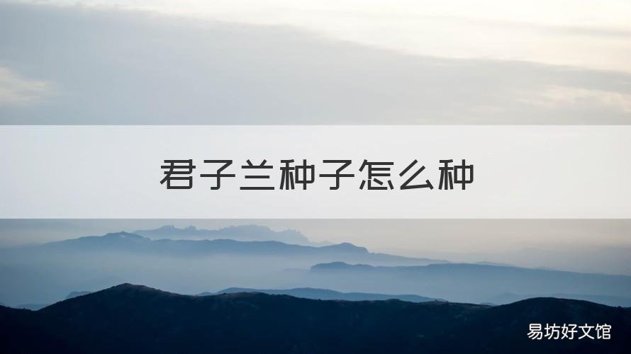 君子兰种子怎么种 君子兰种子怎么种植