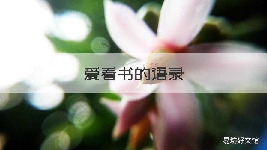 爱看书的语录 爱看书的语录说说