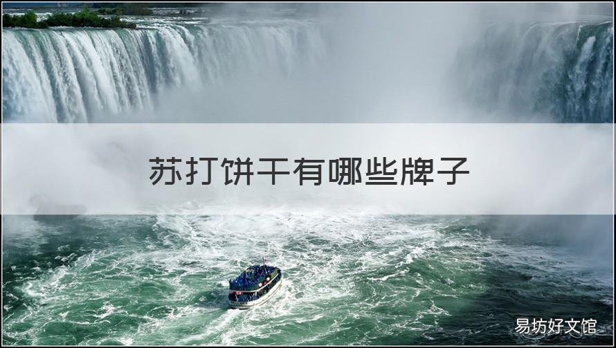 苏打饼干有哪些牌子 苏打饼干啥牌子的好