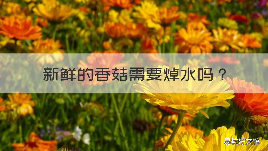 新鲜的香菇需要焯水吗 新鲜香菇是否需要焯水