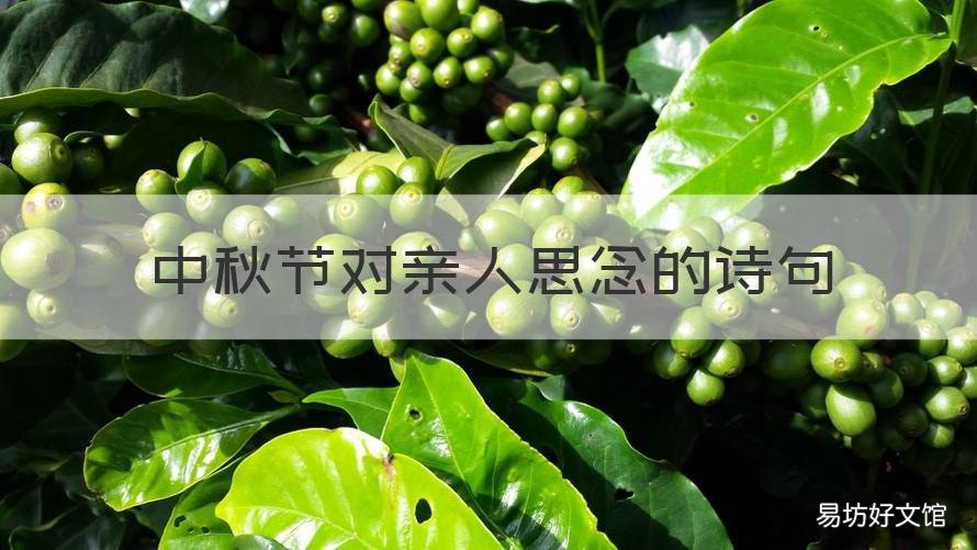 中秋节对亲人思念的诗句 中秋佳节思念亲人的诗句