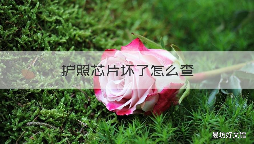 护照芯片坏了怎么查 护照芯片在哪里