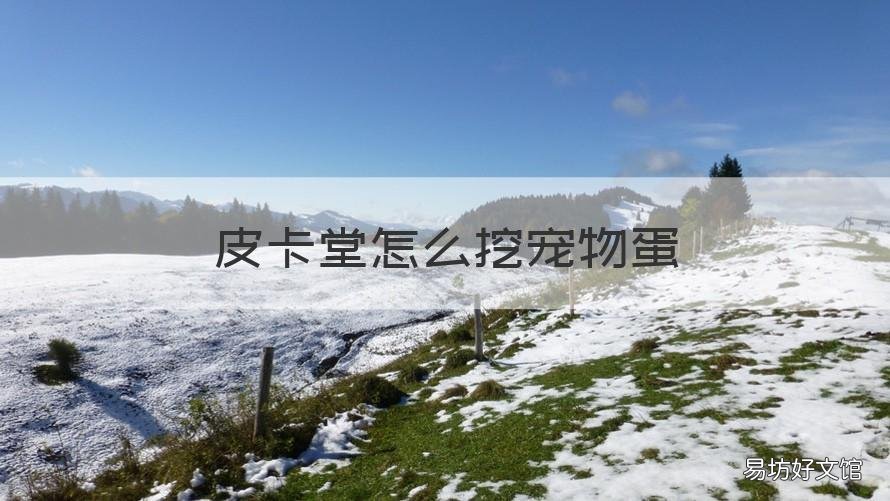 皮卡堂怎么挖宠物蛋 皮卡堂挖矿有宠物蛋吗