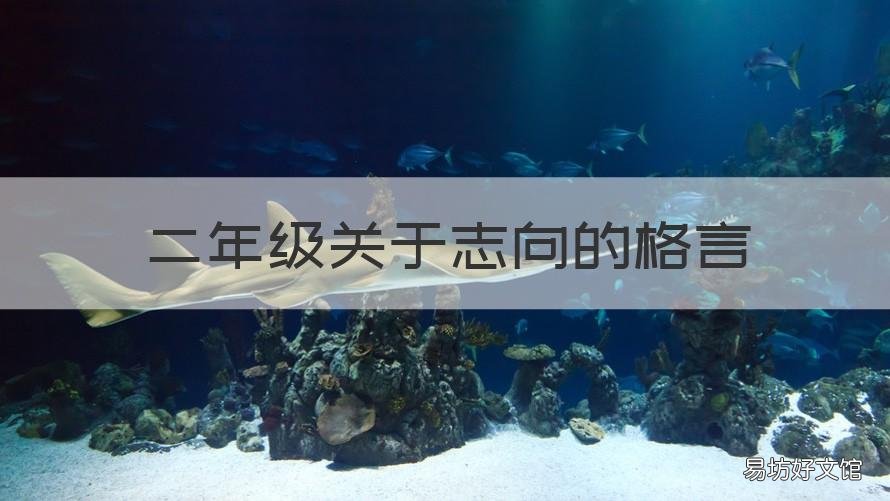 二年级关于志向的格言 二年级关于志向的格言有哪些