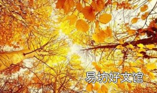秋天上火怎么办 秋天上火怎么办吃什么