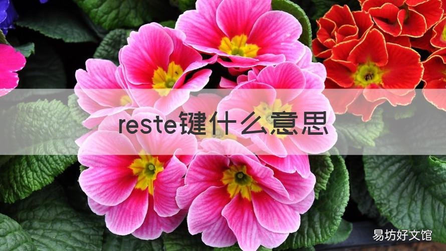 reste键什么意思