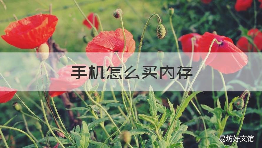 手机怎么买内存 OPPO手机怎么买内存