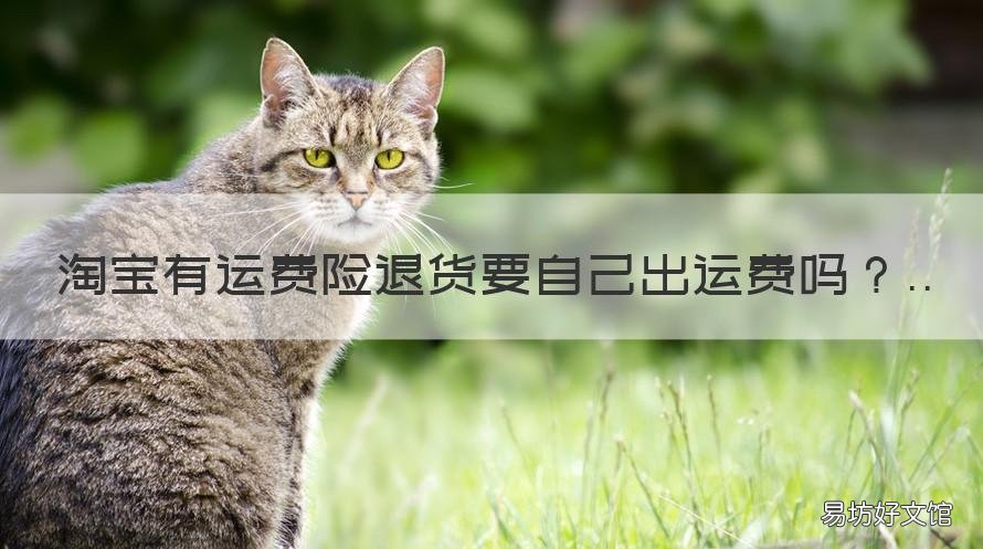 淘宝有运费险退货要自己出运费吗 淘宝没有运费险退货要自己出运费吗