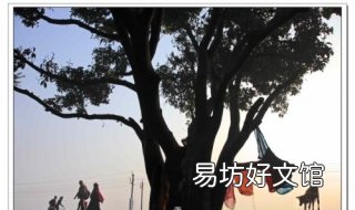 沉寂与静寂的区别 沉静与静寂的区别