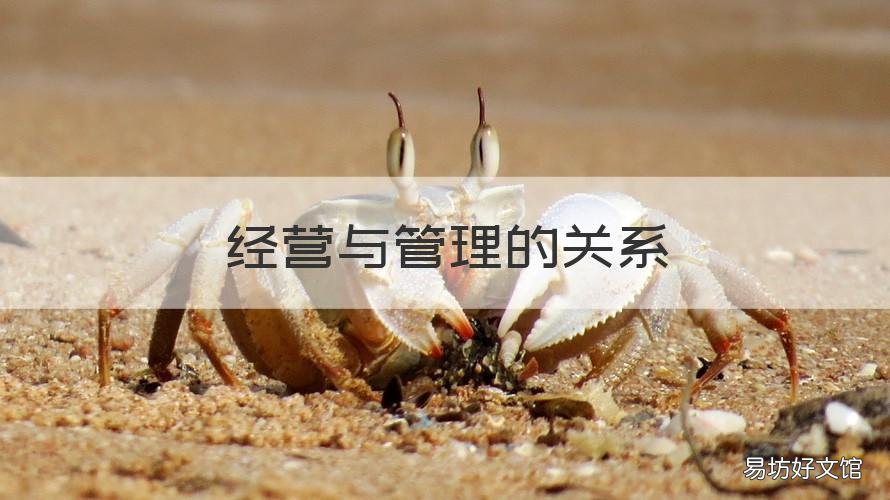 经营与管理的关系 管理和经营的关系