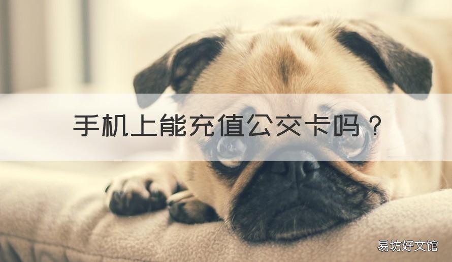 手机上能充值公交卡吗 在手机上可以公交卡充值吗