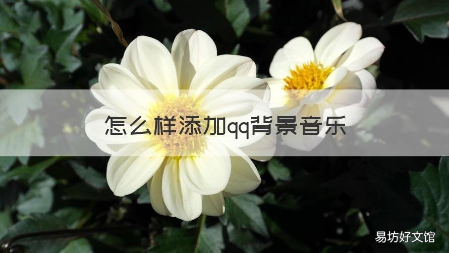 怎么样添加qq背景音乐 qq添加背景音乐在哪里