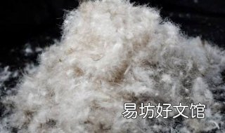白鸭绒和灰鸭绒的区别 白鸭绒和灰鸭绒有区别吗
