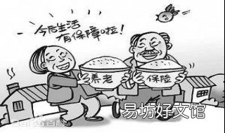 社保和养老保险有什么区别 社保养老保险有什么区别