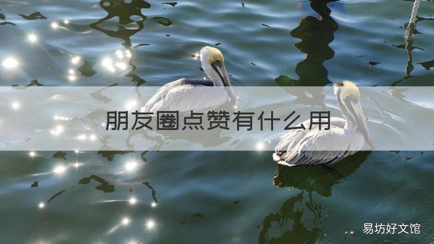 朋友圈点赞有什么用 为朋友圈点赞有什么用
