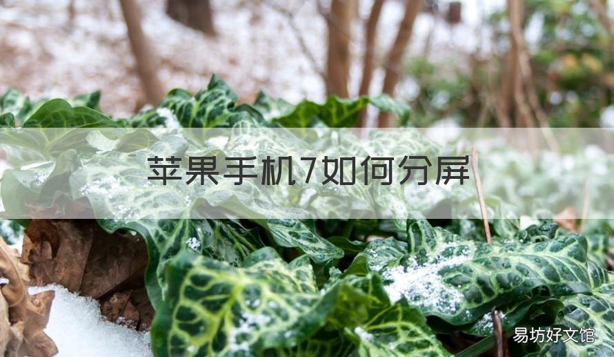 苹果手机7如何分屏 苹果手机如何分屏软件