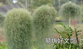 老人须怎么长得快 老人须怎么养长得快
