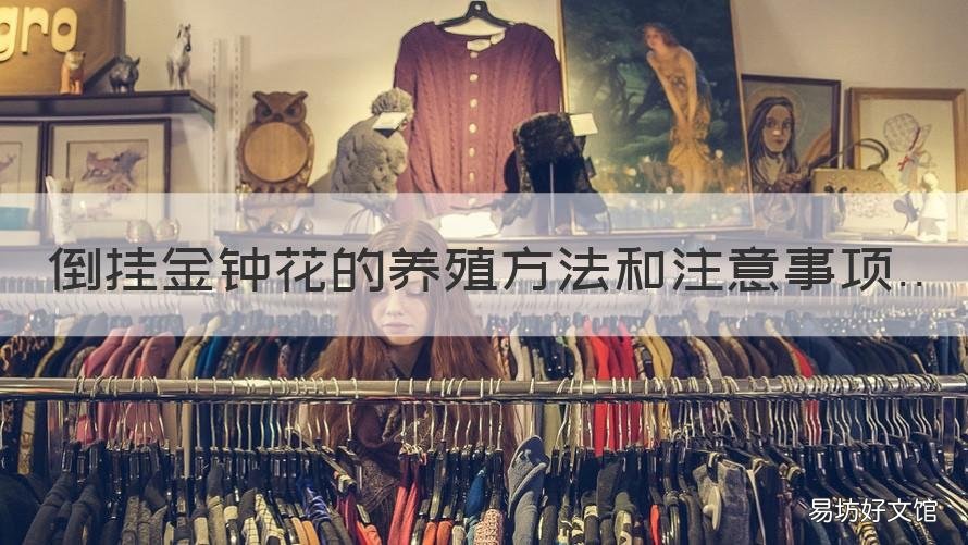 倒挂金钟花的养殖方法和注意事项 倒挂金钟花怎么养?