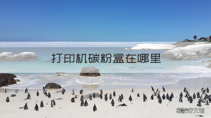 打印机碳粉盒在哪里 激光打印机的碳粉盒在哪里
