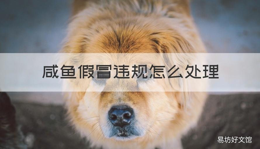 咸鱼假冒违规怎么处理 咸鱼假冒违规怎么申诉