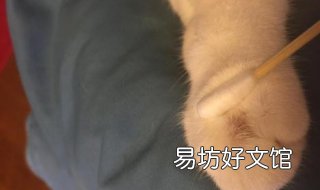 被猫抓破了怎么办 小孩手被猫抓破了怎么办