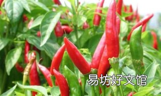 被辣椒辣到手怎么办 切菜被辣椒辣到手怎么办