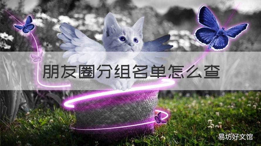 朋友圈分组名单怎么查 朋友圈的分组名单怎么查