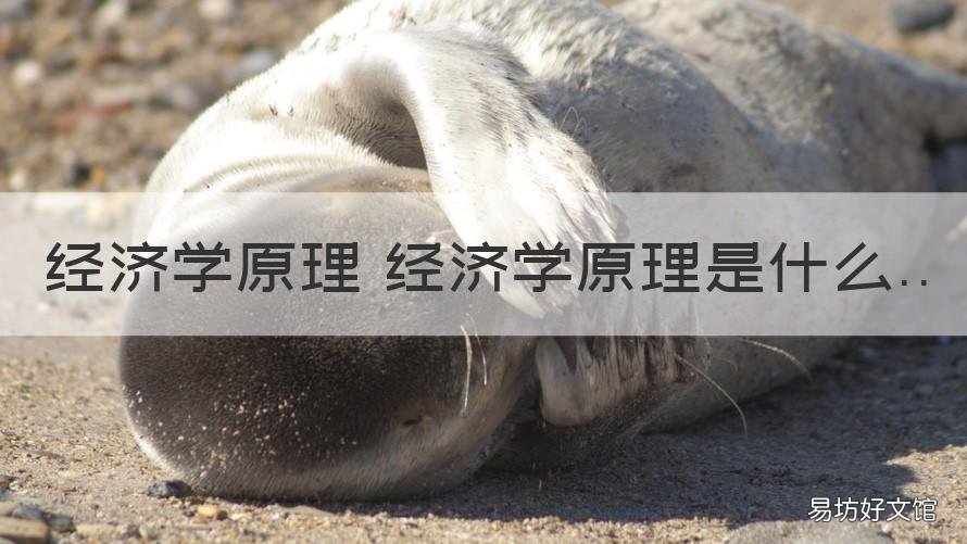 经济学原理 经济学原理是什么 经济学原理的理解