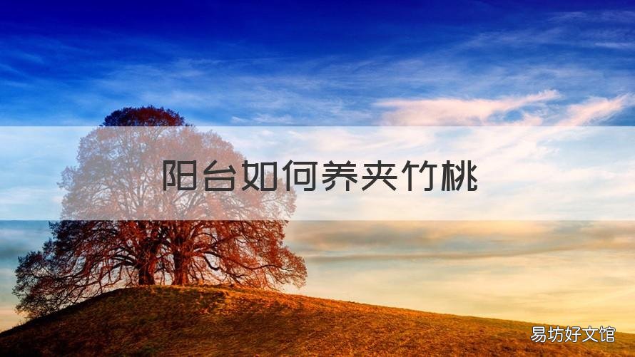 阳台如何养夹竹桃 夹竹桃可以养在卧室吧