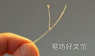 鱼刺卡住喉咙怎么办 猪吃了鱼刺卡住喉咙怎么办