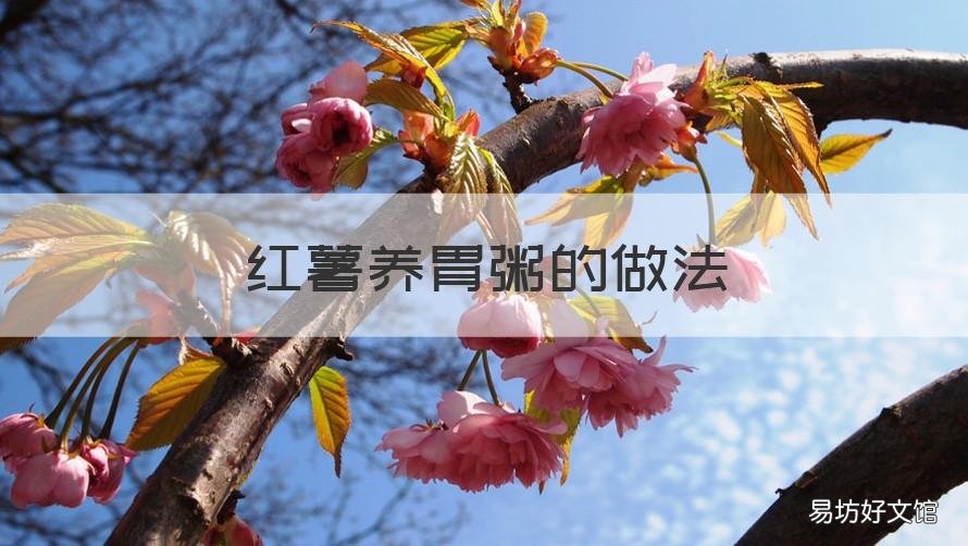 红薯养胃粥的做法 养胃粥食谱