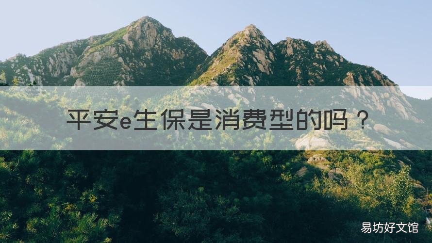 平安e生保是消费型的吗 平安e生保与e生保长期区别