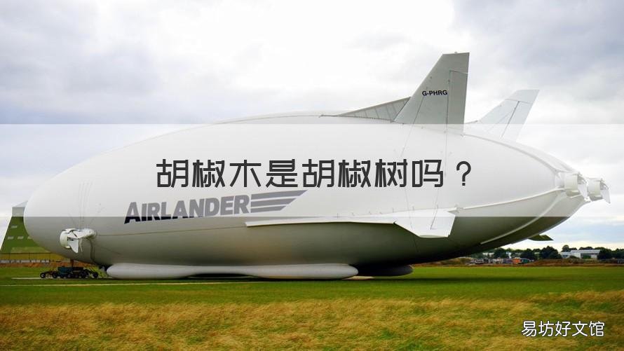 胡椒木是胡椒树吗
