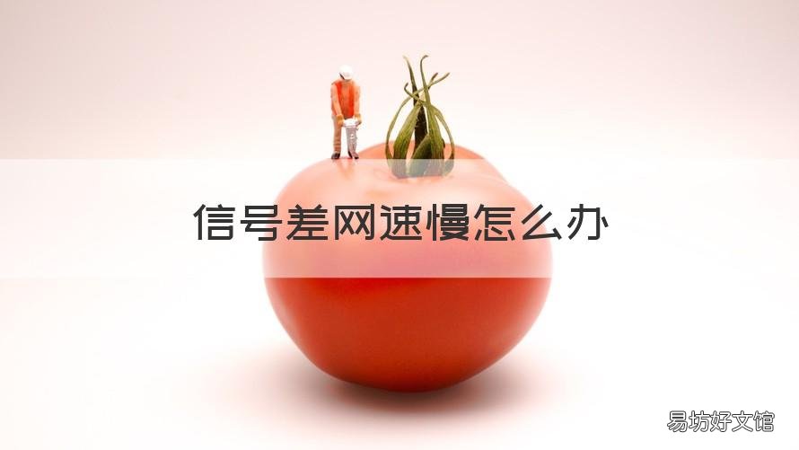 信号差网速慢怎么办 信号好网速慢怎么回事