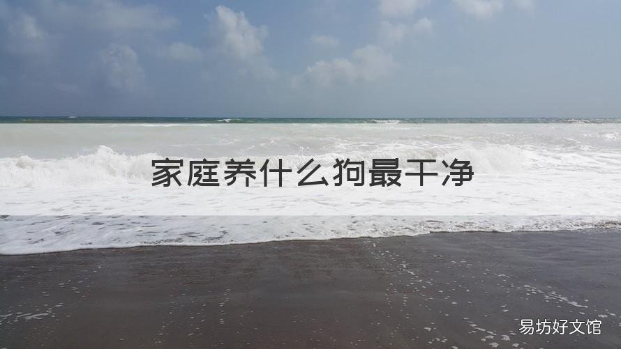 家庭养什么狗最干净 家庭养什么狗最干净和听话?