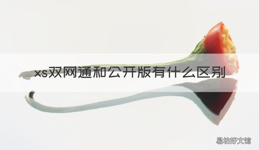 xs双网通和公开版有什么区别