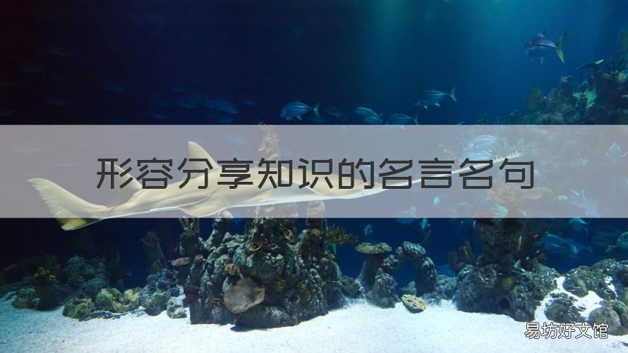 形容分享知识的名言名句 知识共享的名言
